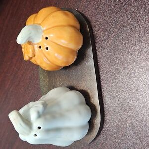Pier 1 Imports Gourd And Pumpkin Salt And Pepper Shakers